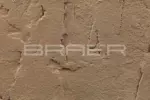 Облицовочный кирпич БРАЕР Баварская кладка, терра, 1 НФ — изображение 4